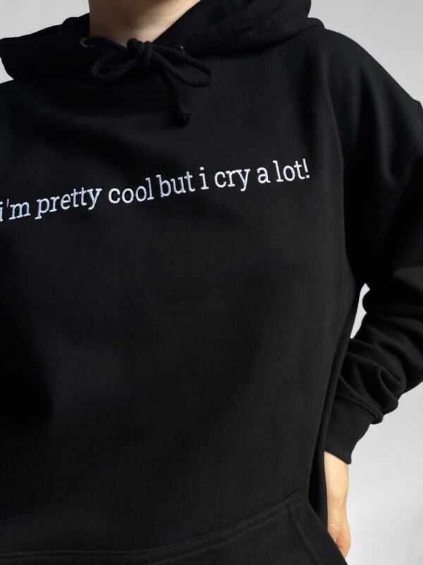 Custom Slogan Hoodie / Sweatshirt - Centered Embroidery - Image 6