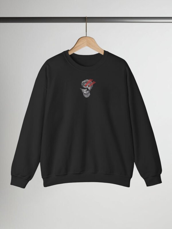 Laser Vision embroidered Hoodie / Sweatshirt - Image 4
